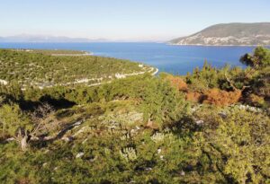 Fiscardo Area Stunning Views Building Plot for Sale