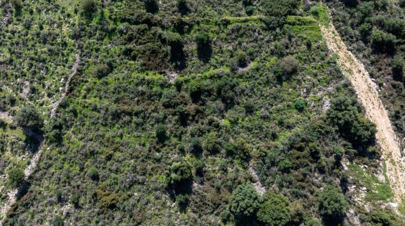 Prime Buildable Plot with Panoramic Views in Agia Efimia