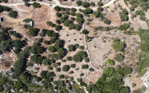 Authentic Greek Village Plot in Zola with Sea Views