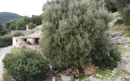 Palia Skala Rare Plot With Stunning Views