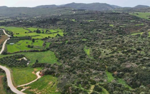 High Development Land in Lixouri