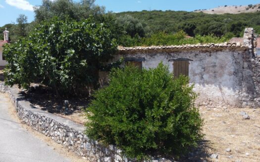 Traditional Village Plot with Renovation House in Makriotika