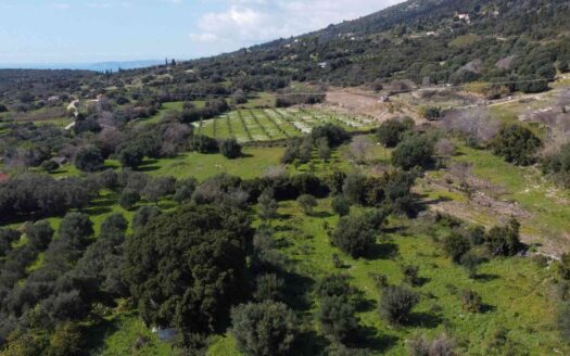 Valeriano Luxury Development Land